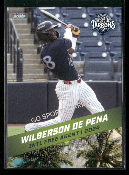 2026 Florida League Fresh Faces Top Prospects Wilberson De Pena