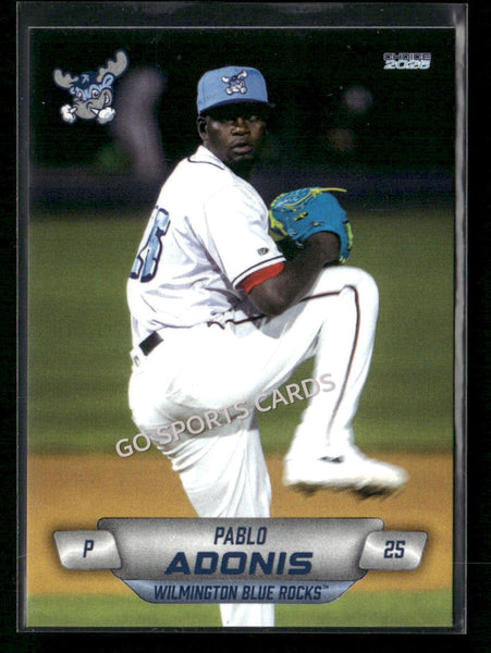 2026 Wilmington Blue Rocks Pablo Aldonis