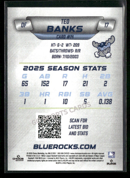 2026 Wilmington Blue Rocks Teo Banks