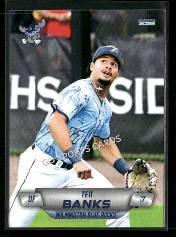 2026 Wilmington Blue Rocks Teo Banks
