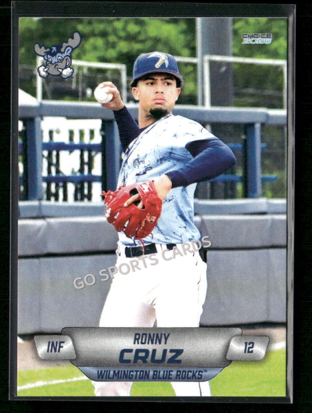 2026 Wilmington Blue Rocks Ronny Cruz