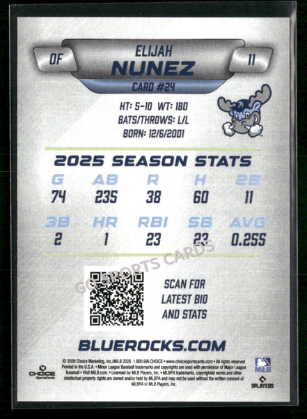 2026 Wilmington Blue Rocks Elijah Nunez