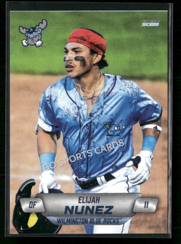2026 Wilmington Blue Rocks Elijah Nunez