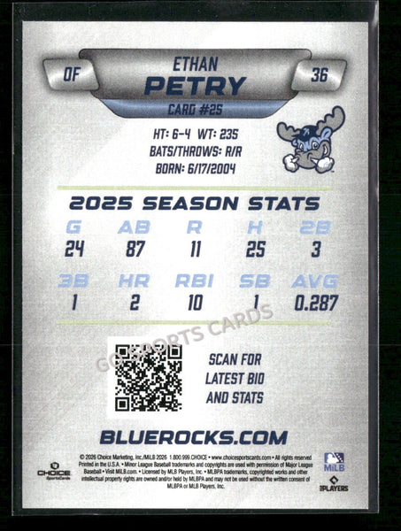 2026 Wilmington Blue Rocks Ethan Petry