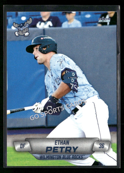 2026 Wilmington Blue Rocks Ethan Petry
