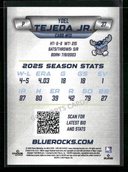 2026 Wilmington Blue Rocks Yoel Tejeda Jr