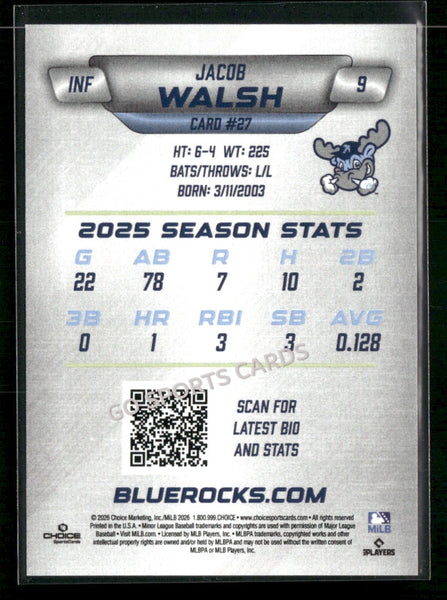 2026 Wilmington Blue Rocks Jacob Walsh
