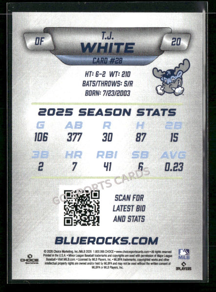 2026 Wilmington Blue Rocks TJ White
