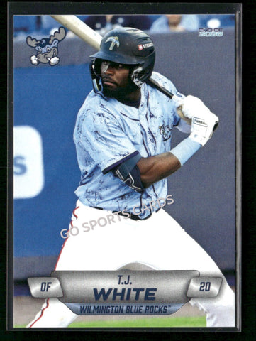 2026 Wilmington Blue Rocks TJ White
