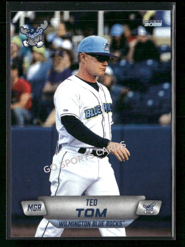 2026 Wilmington Blue Rocks Ted Tom