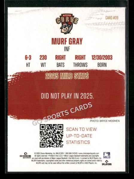 2026 Altoona Curve 3rd Murf Gray