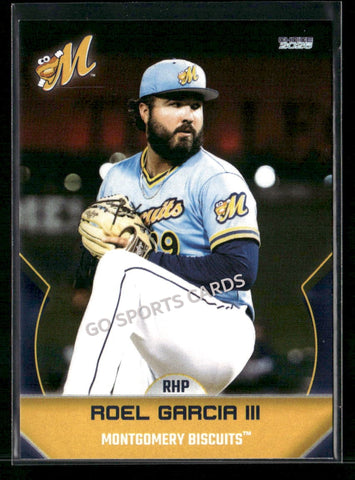 2026 Montgomery Biscuits Roel Garcia III