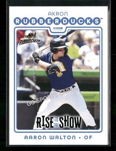 2026 Akron Rubberducks Rise to the Show Top Prospects Aaron Walton
