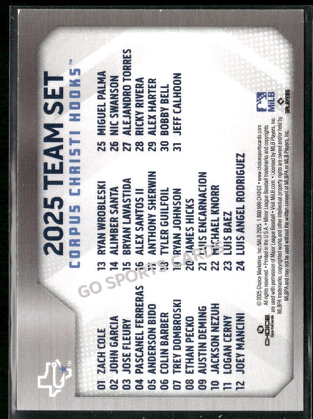 2025 Corpus Christi Hooks Header Checklist