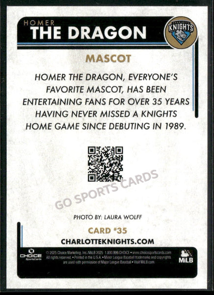 2025 Charlotte Knights Homer the Dragon Mascot