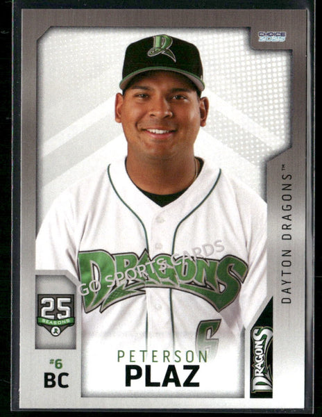 2025 Dayton Dragons Peterson Plaz