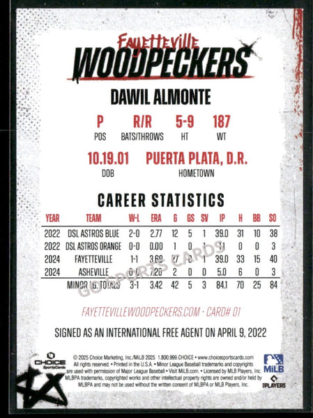 2025 Fayetteville Woodpeckers Dawil Almonte
