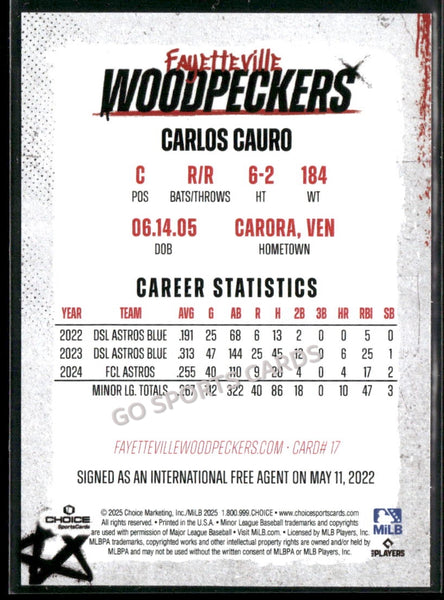 2025 Fayetteville Woodpeckers Carlos Cauro