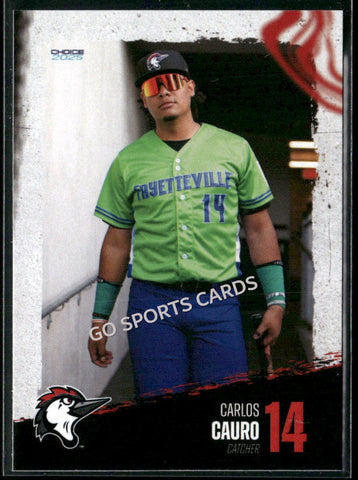 2025 Fayetteville Woodpeckers Carlos Cauro