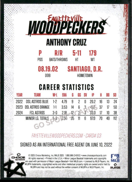 2025 Fayetteville Woodpeckers Anthony Cruz