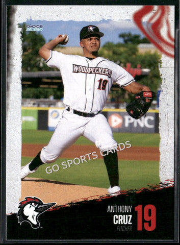 2025 Fayetteville Woodpeckers Anthony Cruz