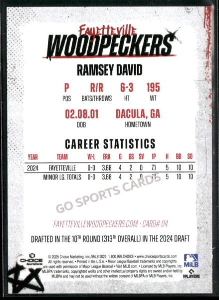 2025 Fayetteville Woodpeckers Ramsey David