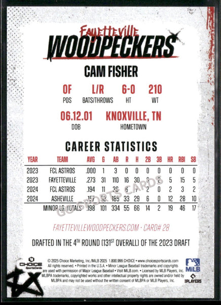 2025 Fayetteville Woodpeckers Cam Fisher
