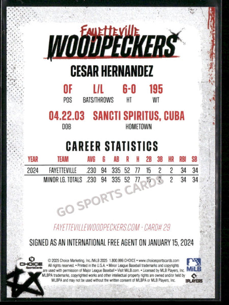 2025 Fayetteville Woodpeckers Cesar Hernandez