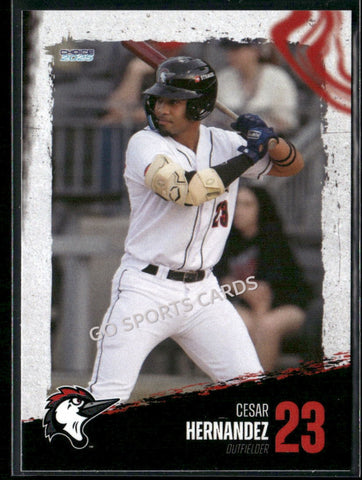 2025 Fayetteville Woodpeckers Cesar Hernandez