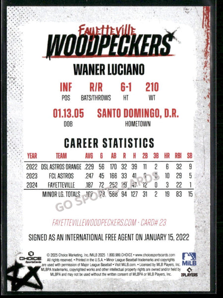 2025 Fayetteville Woodpeckers Waner Luciano