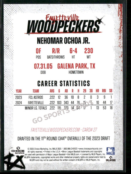 2025 Fayetteville Woodpeckers Nehomar Ochoa Jr