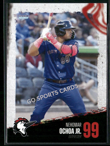 2025 Fayetteville Woodpeckers Nehomar Ochoa Jr