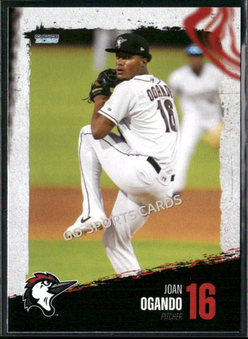 2025 Fayetteville Woodpeckers Joan Ogando
