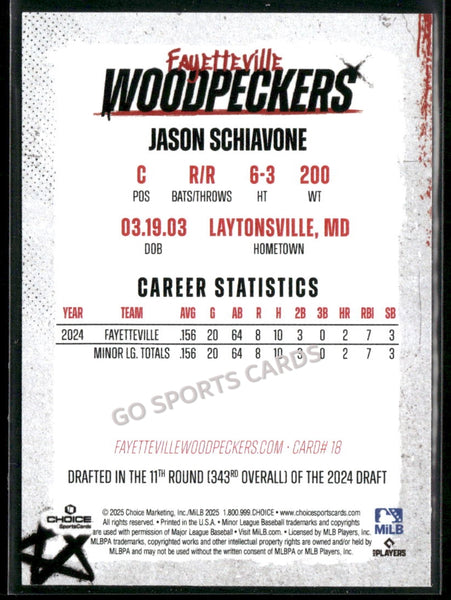 2025 Fayetteville Woodpeckers Jason Schiavone