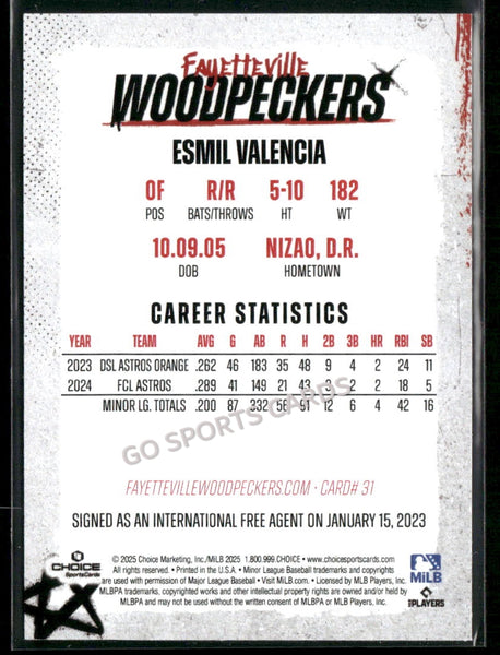 2025 Fayetteville Woodpeckers Esmil Valencia