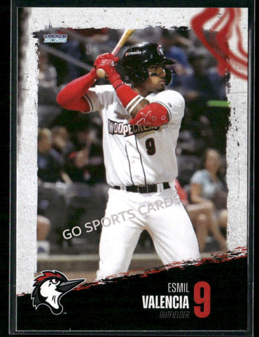 2025 Fayetteville Woodpeckers Esmil Valencia