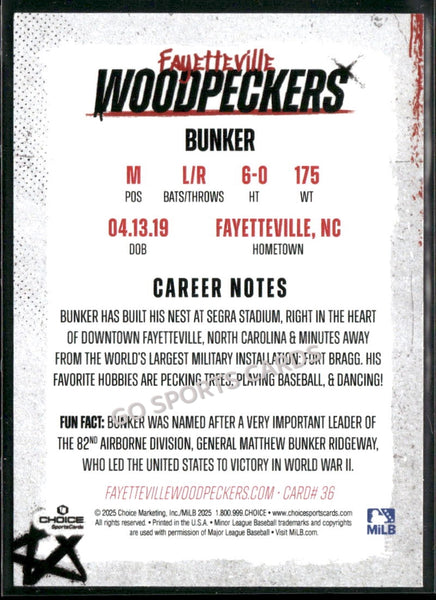 2025 Fayetteville Woodpeckers Bunker Mascot