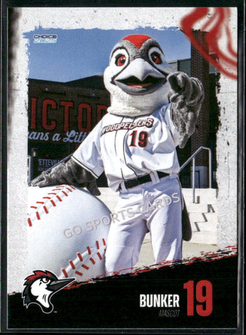 2025 Fayetteville Woodpeckers Bunker Mascot
