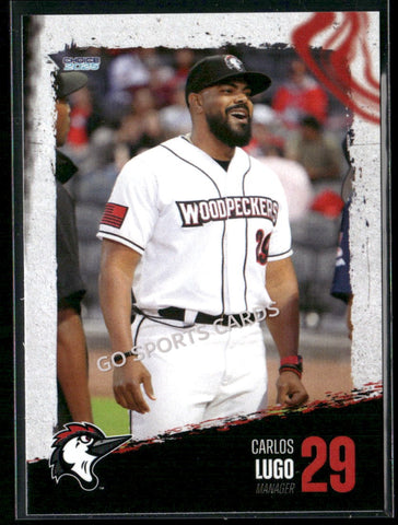 2025 Fayetteville Woodpeckers Carlos Lugo