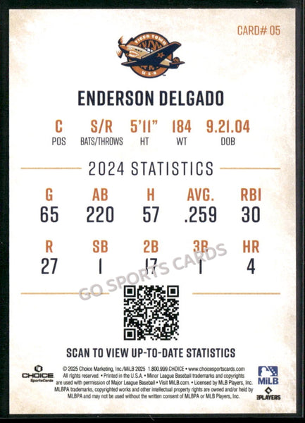 2025 Lakeland Flying Tigers Enderson Delgado
