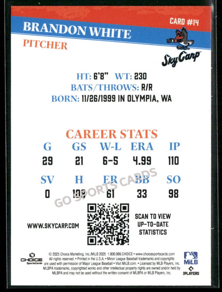 2025 Beloit Sky Carp Brandon White