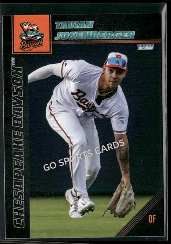 2025 Chesapeake Baysox Tavian Josenberger