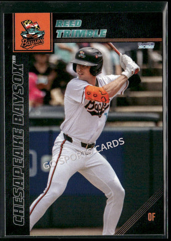 2025 Chesapeake Baysox Reed Trimble