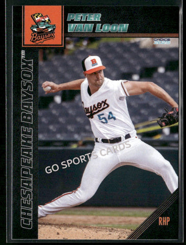 2025 Chesapeake Baysox Peter Van Loon