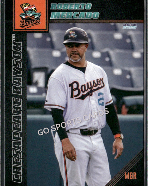 2025 Chesapeake Baysox Roberto Mercado