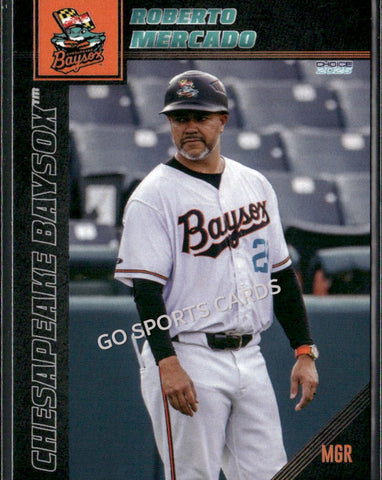 2025 Chesapeake Baysox Roberto Mercado