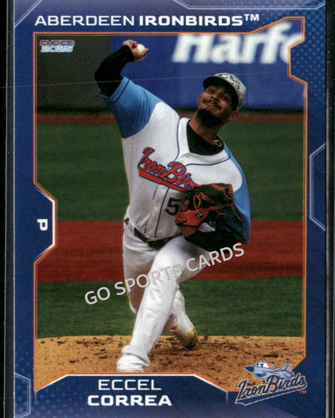 2025 Aberdeen Ironbirds Eccel Correa