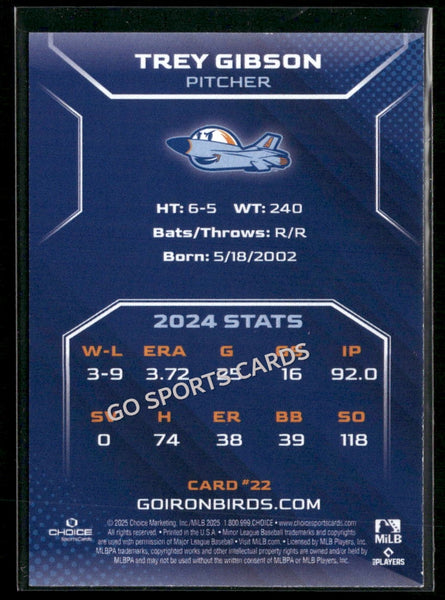 2025 Aberdeen Ironbirds Trey Gibson