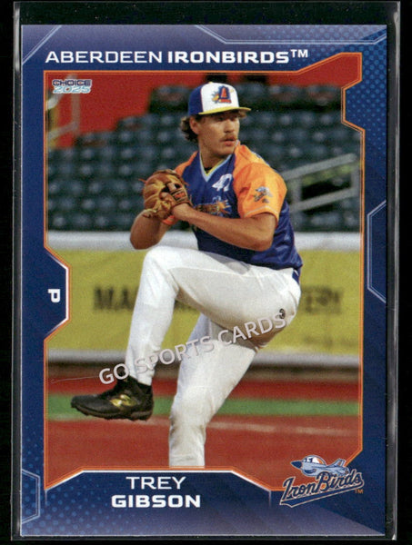 2025 Aberdeen Ironbirds Trey Gibson