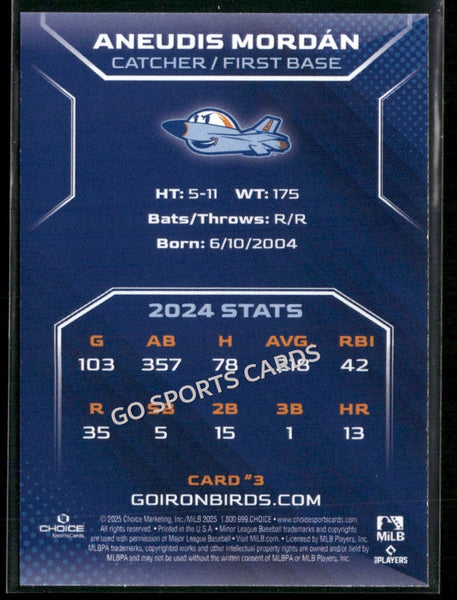 2025 Aberdeen Ironbirds Aneudis Mordan